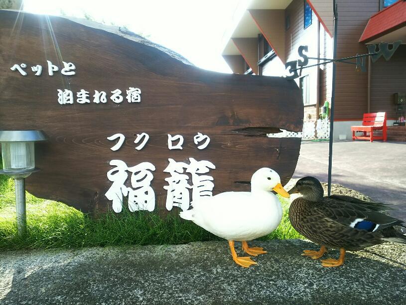 Villa Fukurou à Kushimoto Extérieur photo